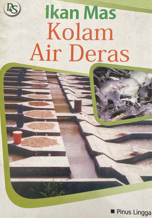 ikan mas kolam air deras