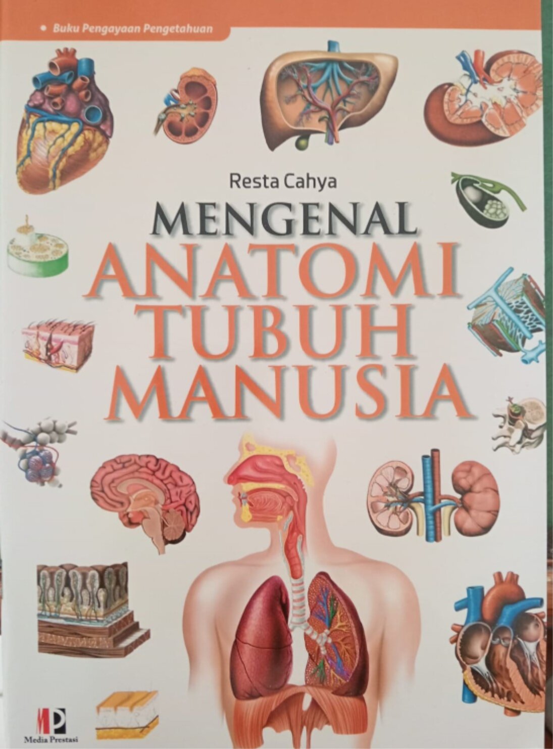 Mengenal Anatomi Tubuh Manusia