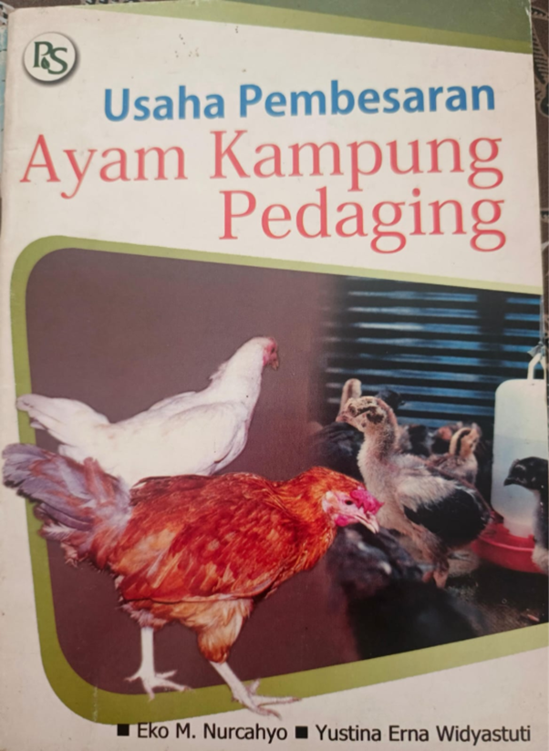 Usaha Pembesaran Ayam Kampung Pedaging